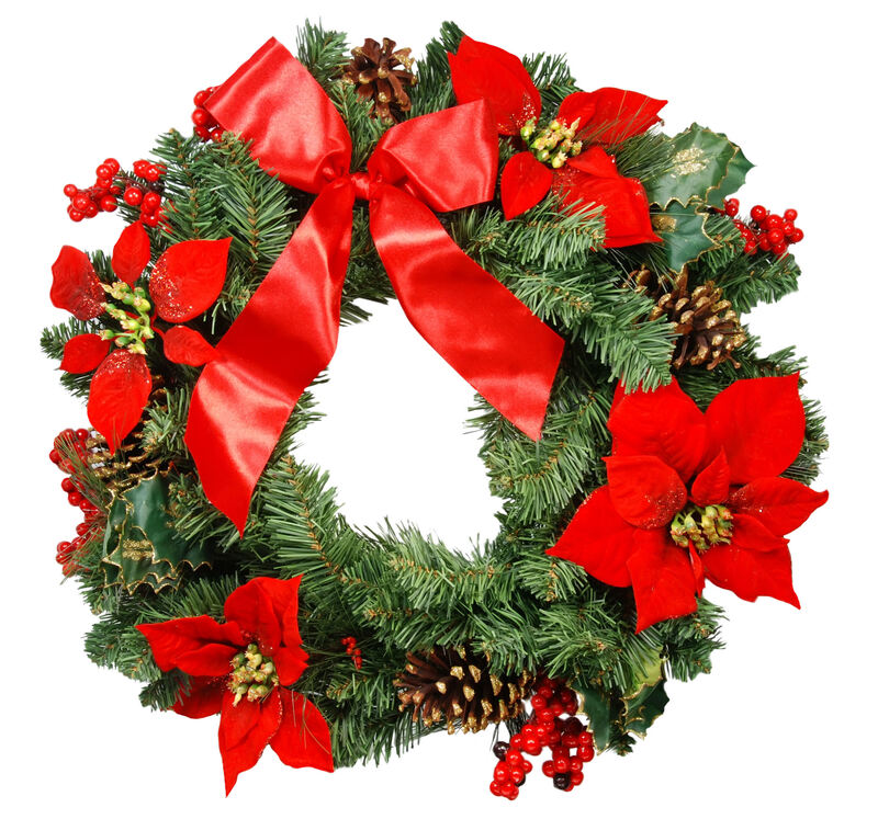 flowers / hydrangea flowers flowers / pink flowers